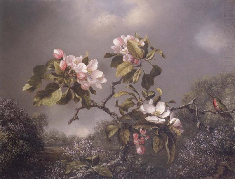 Martin Johnson Heade Apple Blosoms and Hummingbird china oil painting image